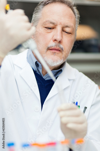 Photo: Researcher working in a laboratory Researcher working in a laboratory