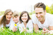 familie in der natur familie in der natur