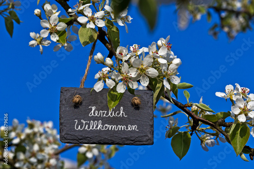 Photo: Schiefertafel am Birnbaum, Bütenzweig, Herzlich Willkommen Schiefertafel am Birnbaum, Bütenzweig, Herzlich Willkommen