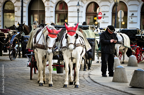 Photo: Конные прогулки Конные прогулки