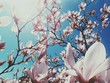 Frühling / Blüten Frühling / Blüten