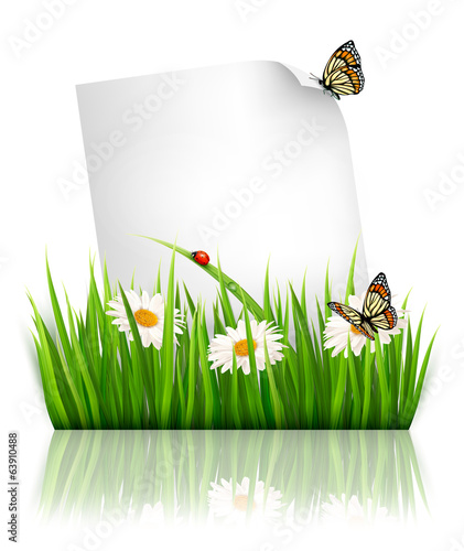 Vector: Nature background with grass and a paper. Vector. Nature background with grass and a paper. Vector.