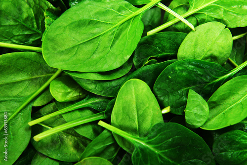 Photo: leaves of spinach leaves of spinach