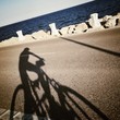 shadow shadow