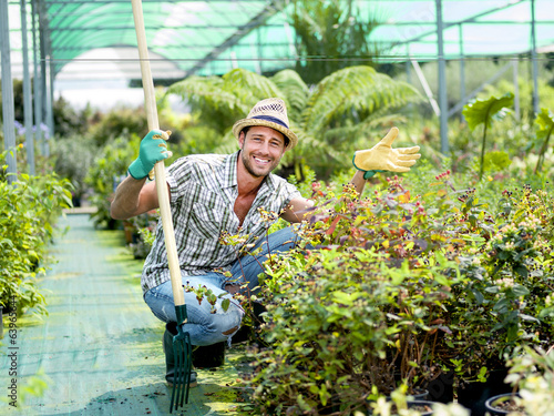 Photo: farmer at work in a greenhouse farmer at work in a greenhouse