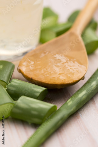 Photo: aloe vera juice with fresh leaves aloe vera juice with fresh leaves