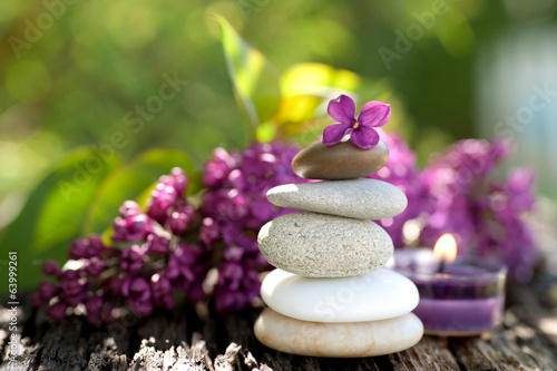 Photo: Wellness Wellness