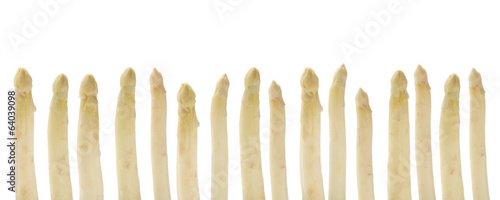 Photo: Banner - Asparagus Banner - Asparagus