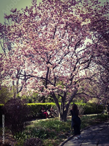 Instant Collection: Woman doing photography Woman doing photography