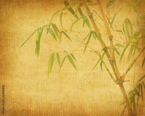 Illustration: bamboo on old grunge paper texture background bamboo on old grunge paper texture background