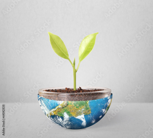 Photo: protect the environment concept earth with tree protect the environment concept earth with tree