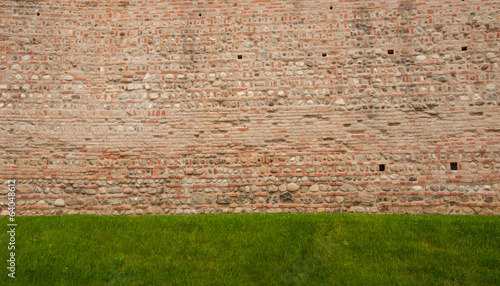 Photo: muro con erba muro con erba