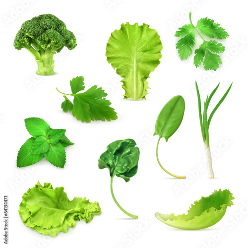 Vector: Green vegetables and herbs set Green vegetables and herbs set