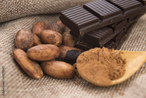 Photo: Cocoa (cacao) beans with chocolate Cocoa (cacao) beans with chocolate