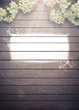 Spring background Spring background