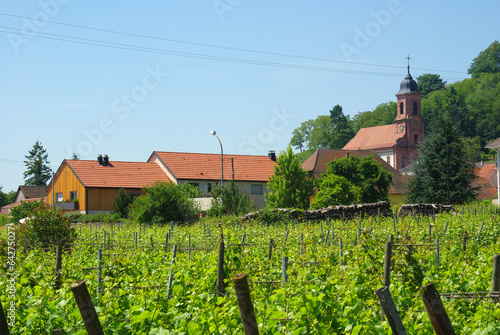 Photo: Vignoble d'Orschwiller , Alsace. Vignoble d'Orschwiller , Alsace.