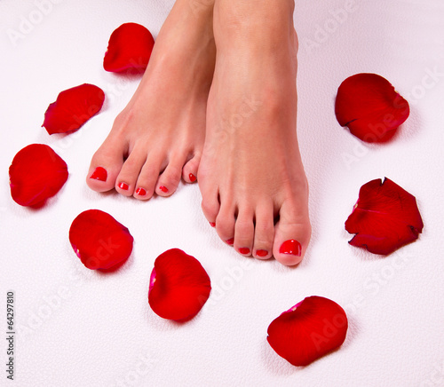 Photo: Spa background with a beautiful legs, flowers, petals Spa background with a beautiful legs, flowers, petals