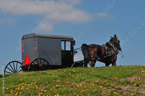 Photo: Amish horse and buggy Amish horse and buggy