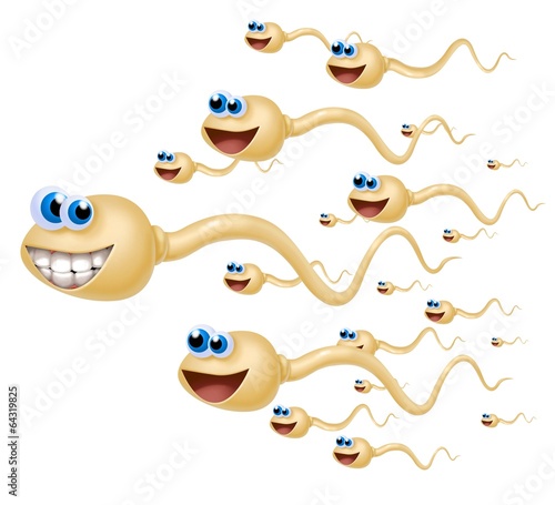 Illustration: spermatozoo spermatozoo