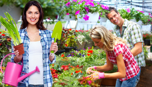Photo: Gardening woman with plant. Gardening woman with plant.