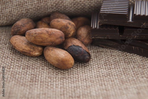 Photo: Cocoa (cacao) beans with chocolate Cocoa (cacao) beans with chocolate
