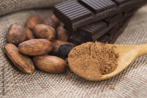 Photo: Cocoa (cacao) beans with chocolate Cocoa (cacao) beans with chocolate