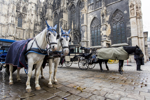 Photo: Stephansdom in Vienna Stephansdom in Vienna