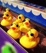 Carnival Game with Ducks Carnival Game with Ducks