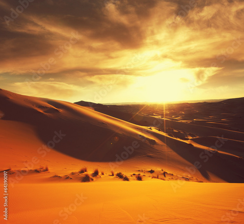  Desert