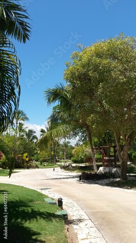 Photo: caminos entre jardines caminos entre jardines