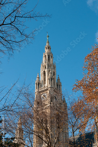 Photo: rathaus in wien rathaus in wien