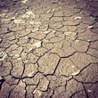 Dry Land Dry Land