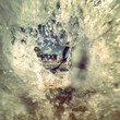 in the wave in the wave