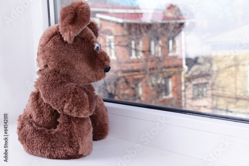 Photo: Toy-bear looking out window close-up Toy-bear looking out window close-up