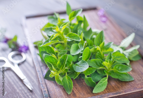 Photo: aroma herbs aroma herbs