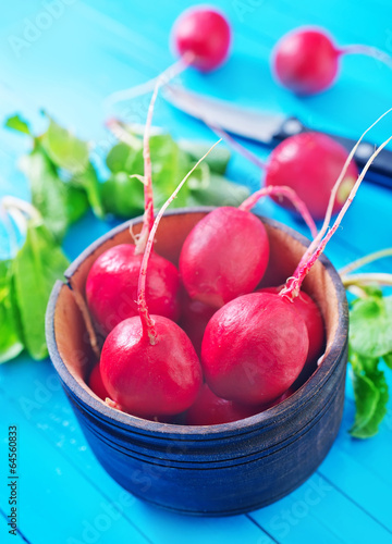 Photo: radish radish