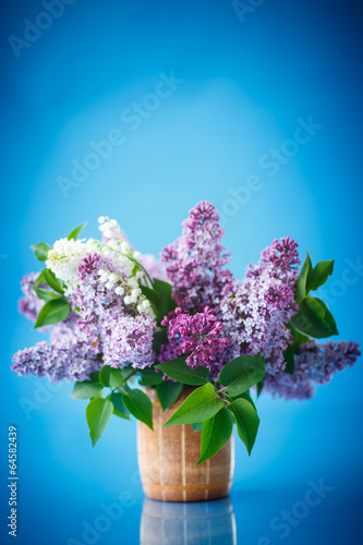 Photo: beautiful spring lilac beautiful spring lilac