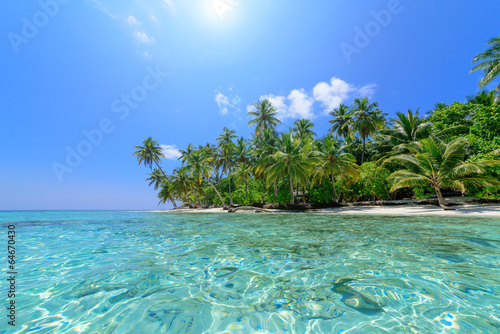  Strand mit Palmen