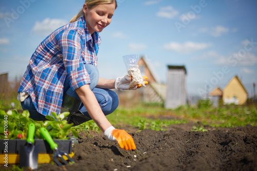 Photo: Time to sow Time to sow