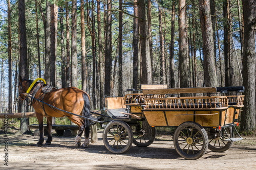 Photo: Horse-drawn carriage in close up Horse-drawn carriage in close up