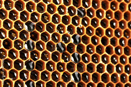 Photo: yellow beautiful honeycomb with honey, background yellow beautiful honeycomb with honey, background