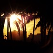the paradise the paradise
