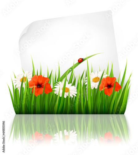 Vector: Nature background with grass and a sheet of paper. Vector. Nature background with grass and a sheet of paper. Vector.
