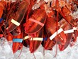 lobster lobster