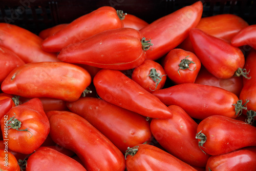 Photo: tomatoes tomatoes