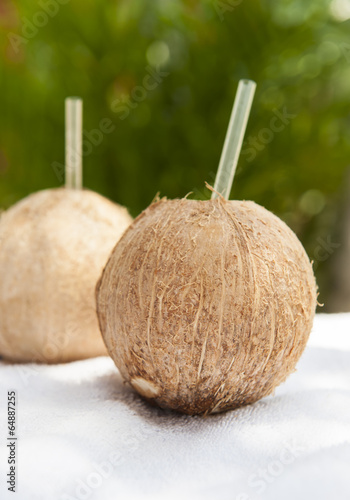 Photo: Refreshing Coconut Water Drinks Refreshing Coconut Water Drinks