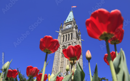 Photo: Canadian Parliament surrounded by red tulips Canadian Parliament surrounded by red tulips