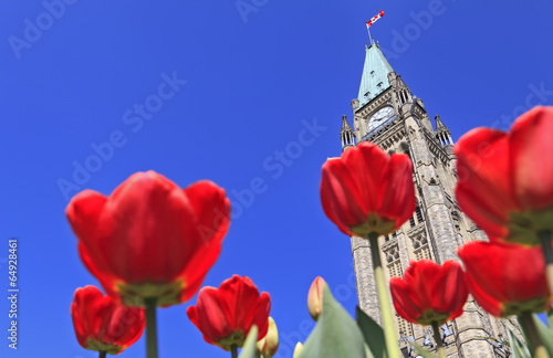 Photo: Canadian Parliament surrounded by red tulips Canadian Parliament surrounded by red tulips