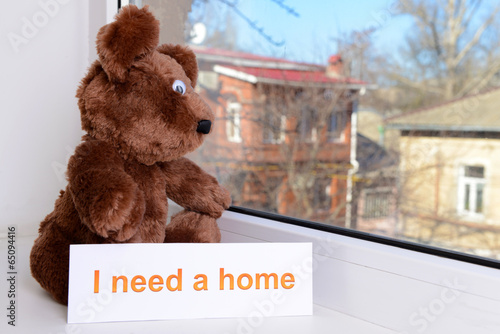 Photo: Toy-bear looking out window close-up Toy-bear looking out window close-up