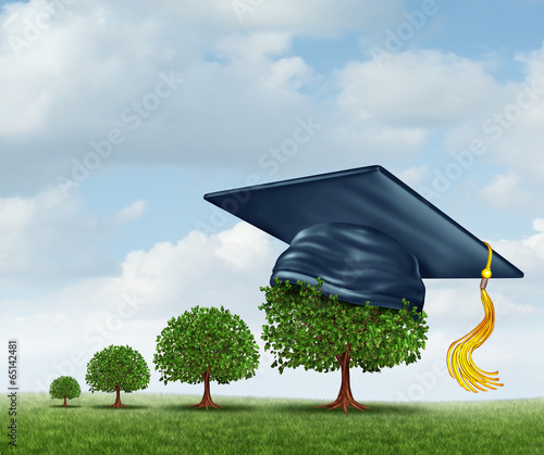 Illustration: Graduation Concept Graduation Concept